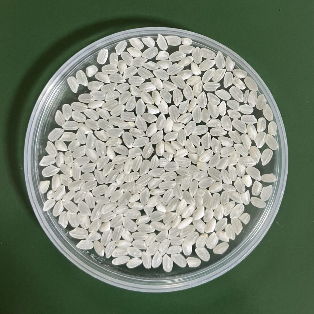 GẠO BAO GIẤY CA10kg hình nhỏ 4