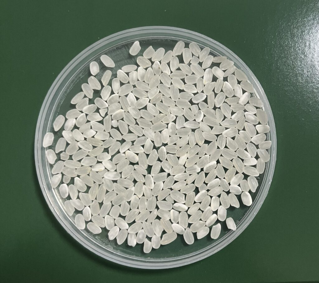 GẠO BAO GIẤY-コシヒカリA10kg