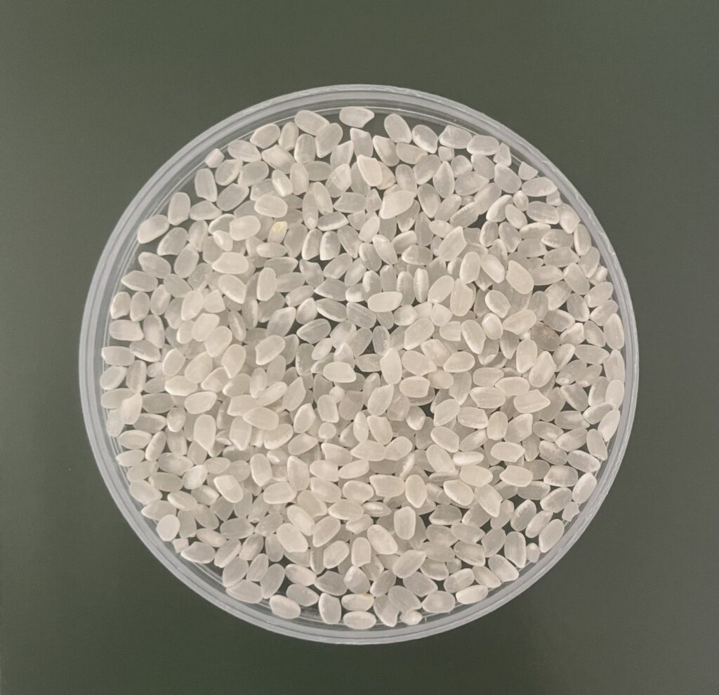 GẠO BAO BÓNG-コシヒカリM10kg hình nhỏ 3