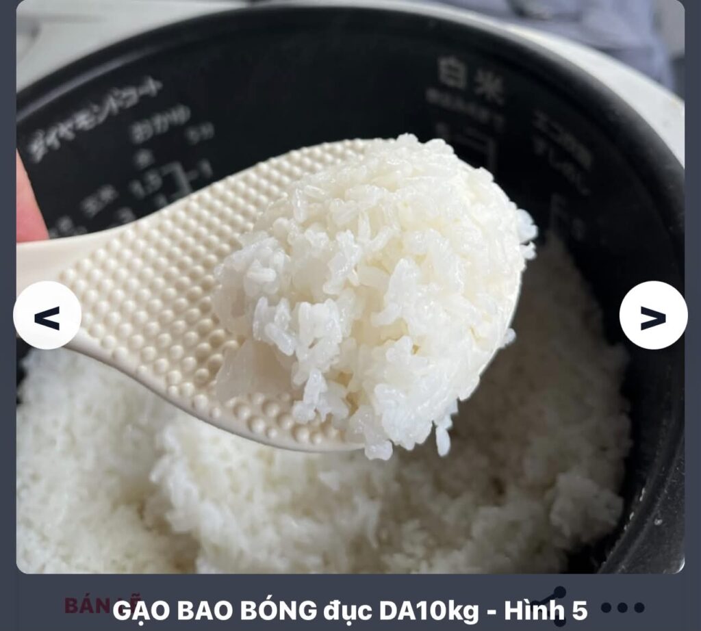 GẠO SALE THÁNG 10 FREE SHIP 30KG hình nhỏ 5